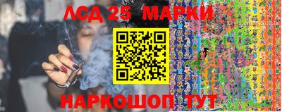 шишки Малгобек