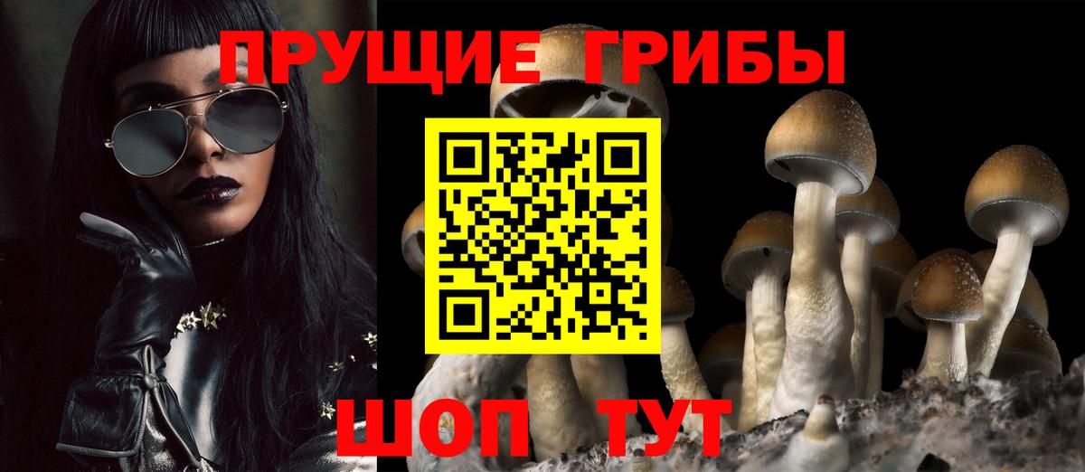 Псилоцибиновые грибы мухоморы  Вход с VPN  Сухой Лог 